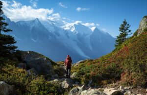 Search Underway for 70-Year-Old Man Missing on California Off-Road Trail