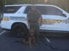 Bloodhound K-9 Hero Reunites Lost Autistic Boy With His Family