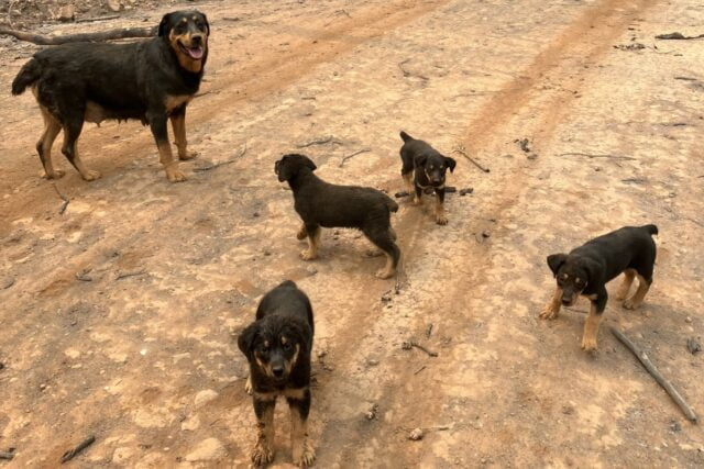 Butte County Sheriff's Office on Facebook