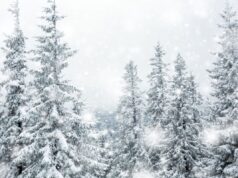 California Experiences Rare Summer Snowfall for the First Time in Two Decades